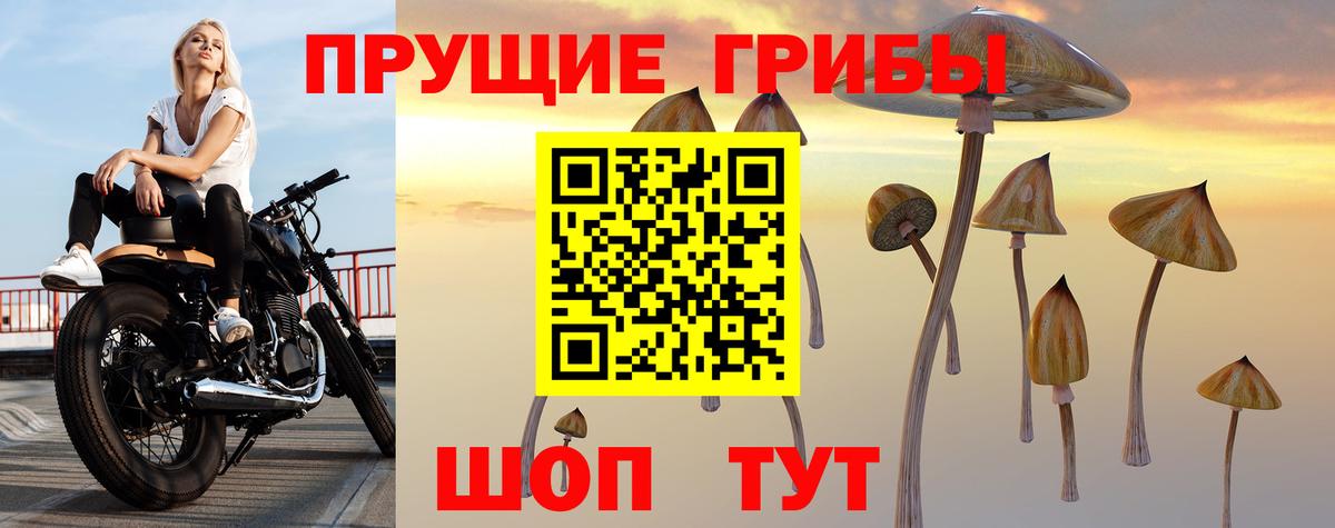 Псилоцибиновые грибы ЛСД Москва