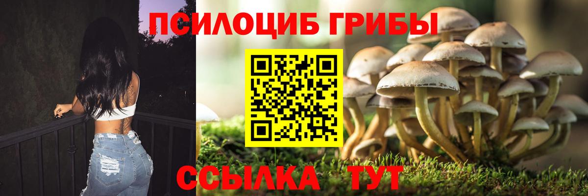 Галлюциногенные грибы мухоморы  Псилоцибиновые грибы Psilocybe  Москва  Вход с VPN 